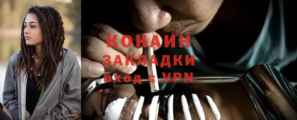 стаф Абинск