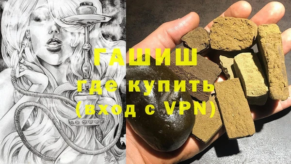 стаф Алзамай